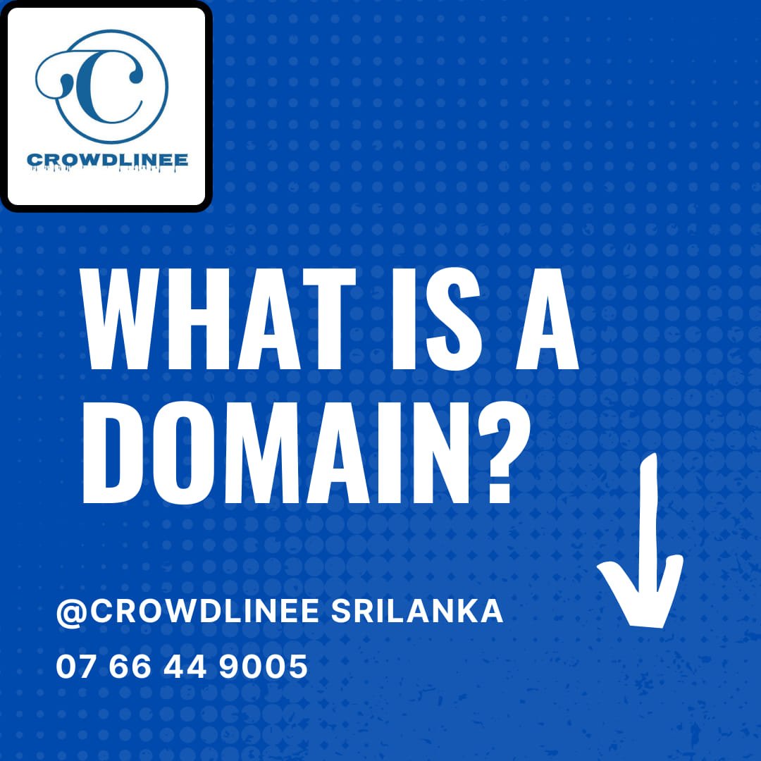 What is a domain